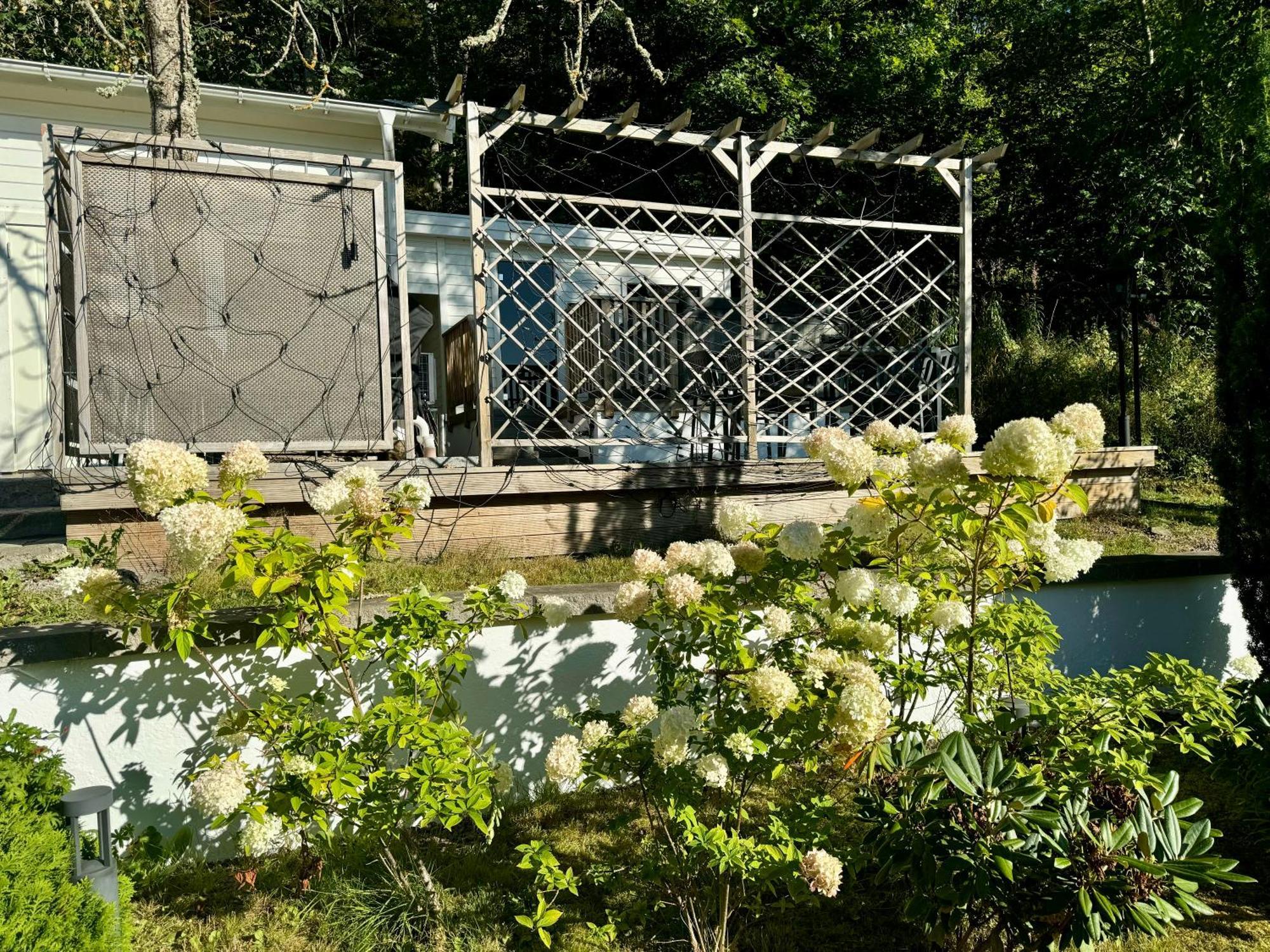 Hills Cottage غْرانّا المظهر الخارجي الصورة